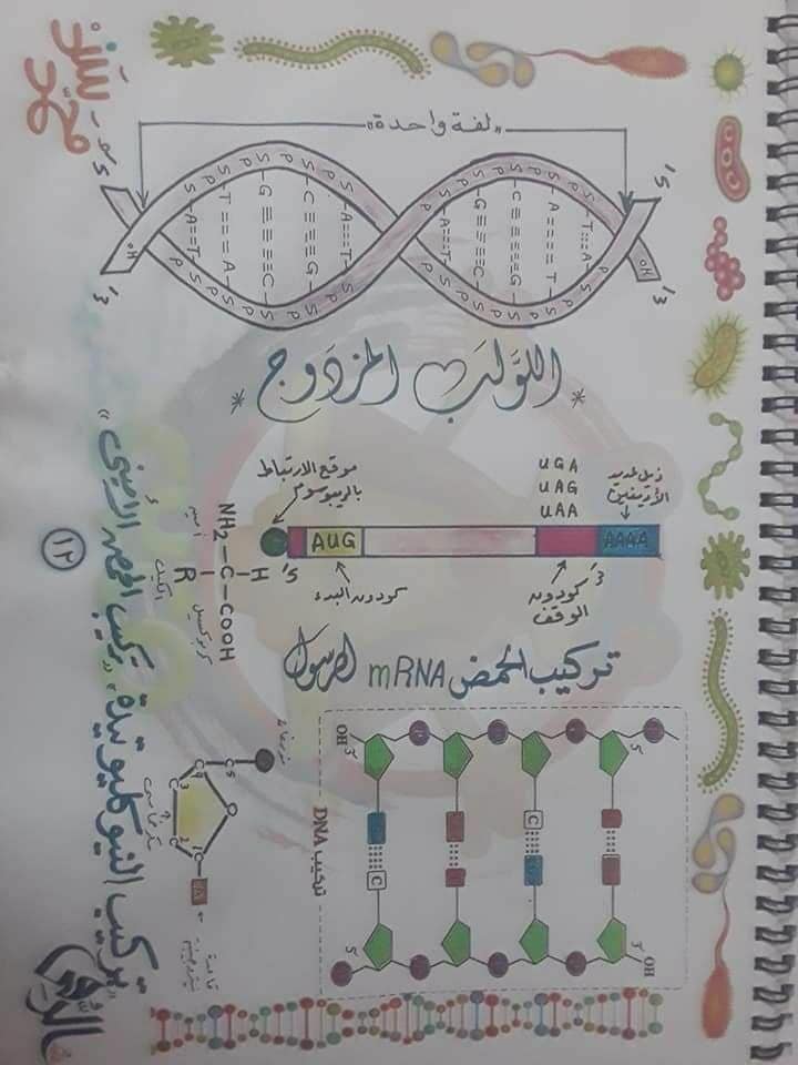 تجميع لكل رسومات الأحياء - للثانوية العامة