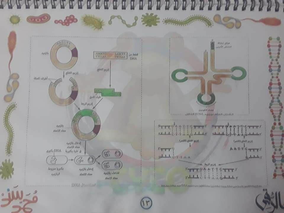 تجميع لكل رسومات الأحياء - للثانوية العامة