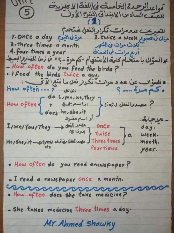 فى 8 ورقات فقط شرح جرامر الانجلش الترم الاول كله للصف السادس