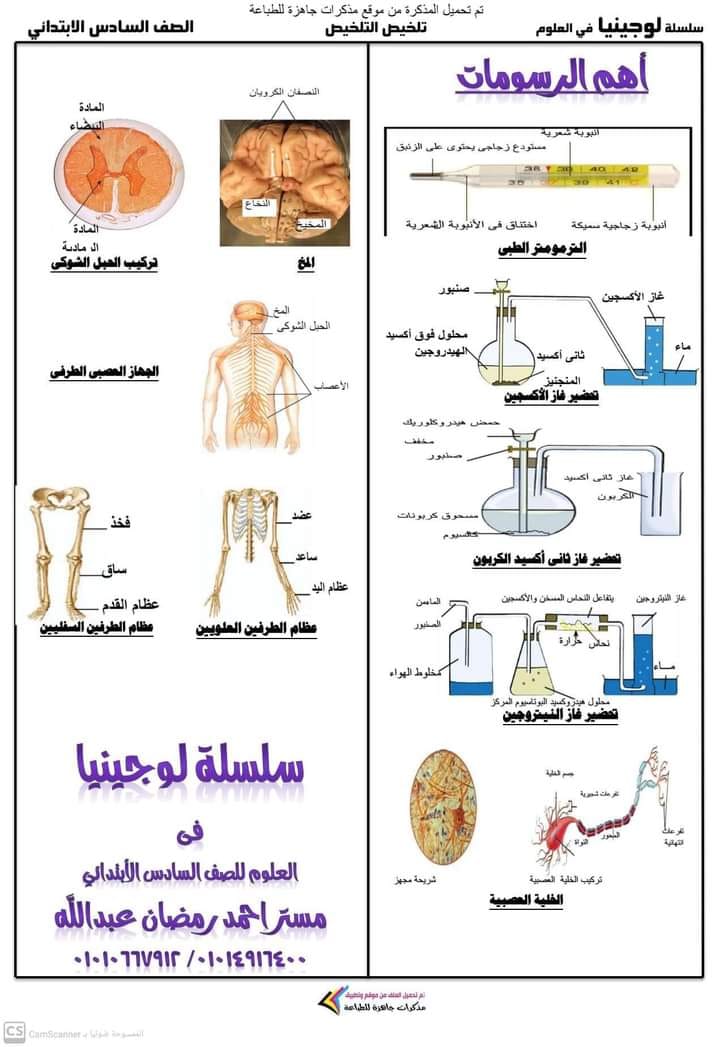 ملخص ومراجعة علي منهج العلوم من سلسلة لوجينا - للصف السادس الابتدائي - الفصل الدراسي الأول 2023